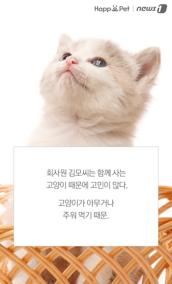 본문 이미지 -  
