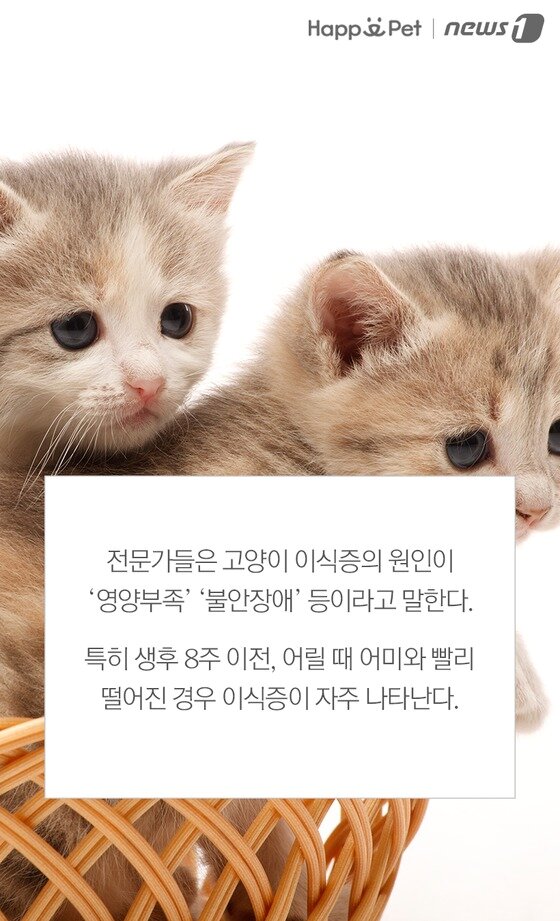 본문 이미지 -  