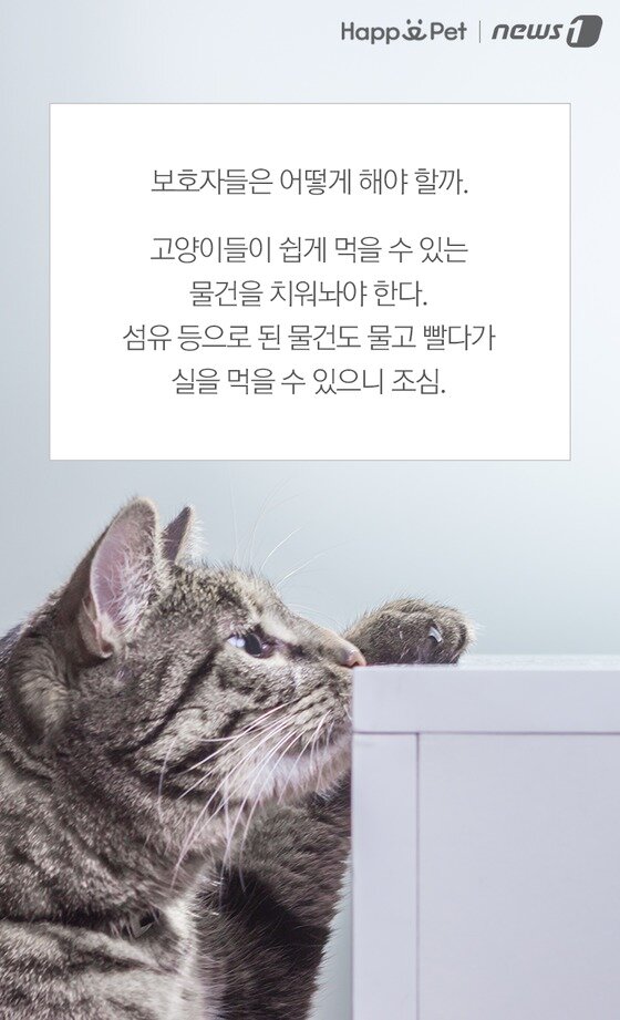 본문 이미지 -  