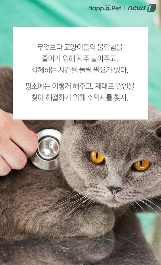 본문 이미지 -  