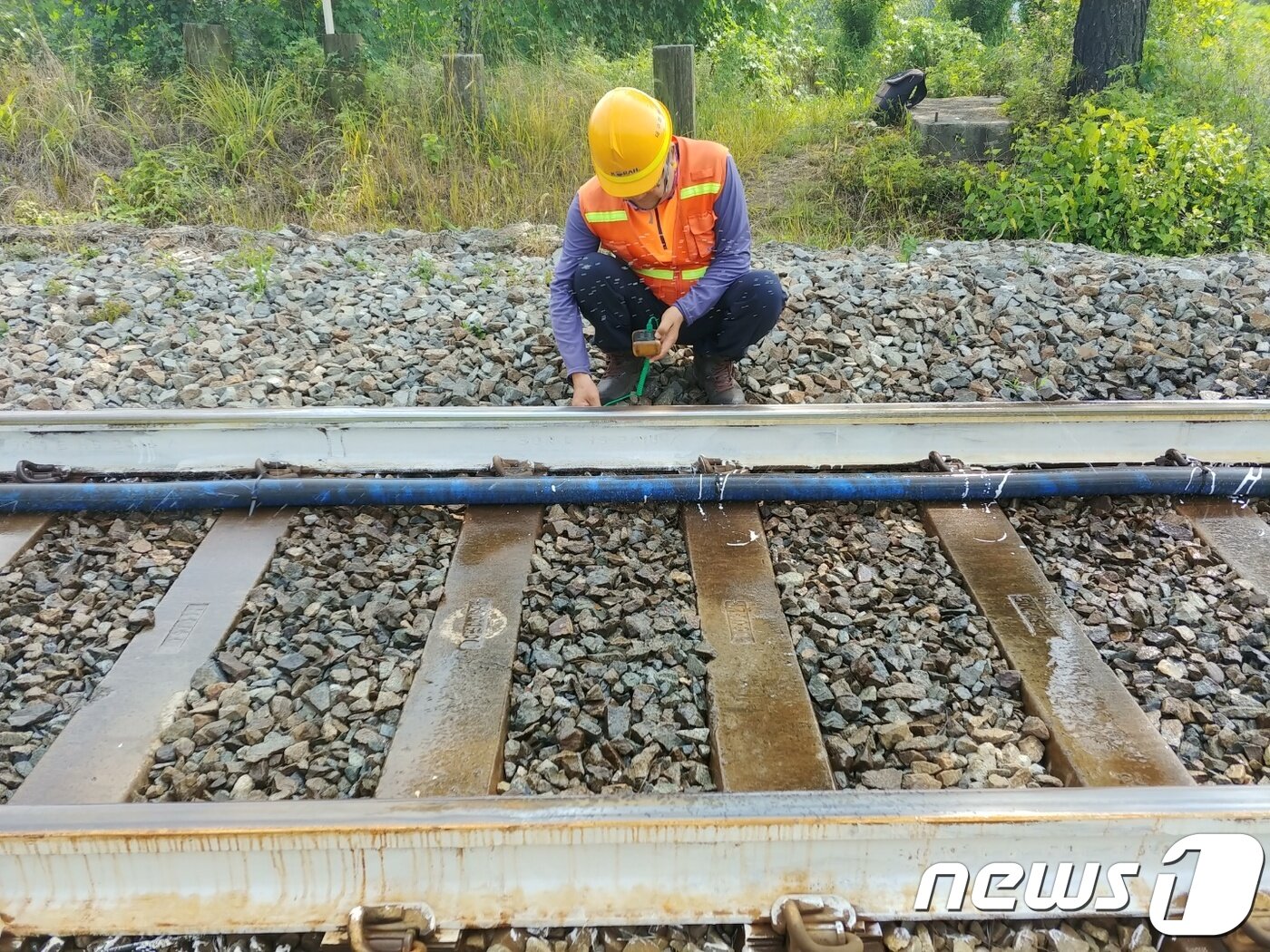 본문 이미지 - 코레일 대구본부 직원들이 24일 폭염으로 선로에 작동하고 있는 자동살수장치를 점검하고 있다. (코레일 대구본부 제공)/뉴스1 ⓒ News1 정지훈 기자