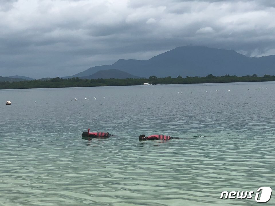 본문 이미지 - 호핑투어를 즐기고 있는 관광객 ⓒ News1 문대현 기자