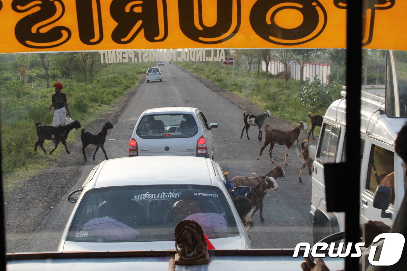 본문 이미지 - 버스를 타고 이동 도중 만나게 되는 염소떼들ⓒ News1 