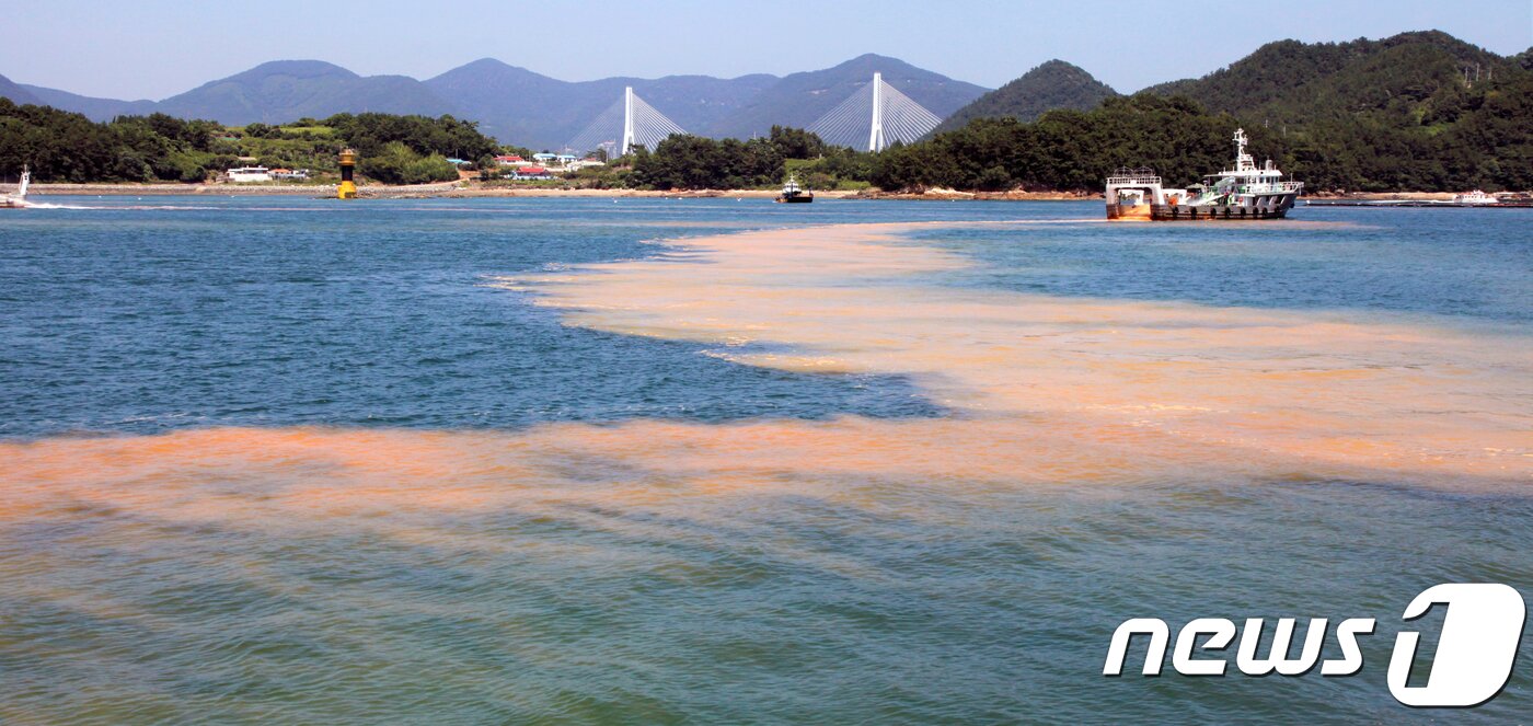 본문 이미지 - 25일 폭염 속 적조가 흘러든 전남 여수시 월호 수역에서 황토살포와 고압살수, 프로펠러를 이용한 적조 방제작업이 한창이다..2018.7.25/뉴스1 ⓒ News1 지정운 기자