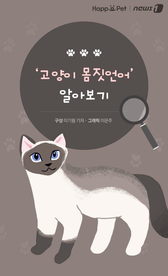 본문 이미지 -  