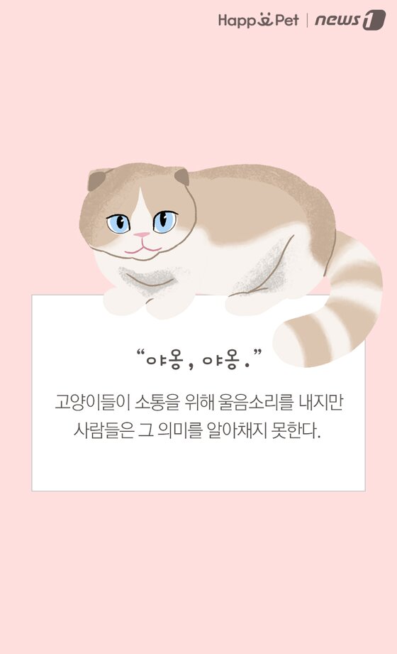 본문 이미지 -  