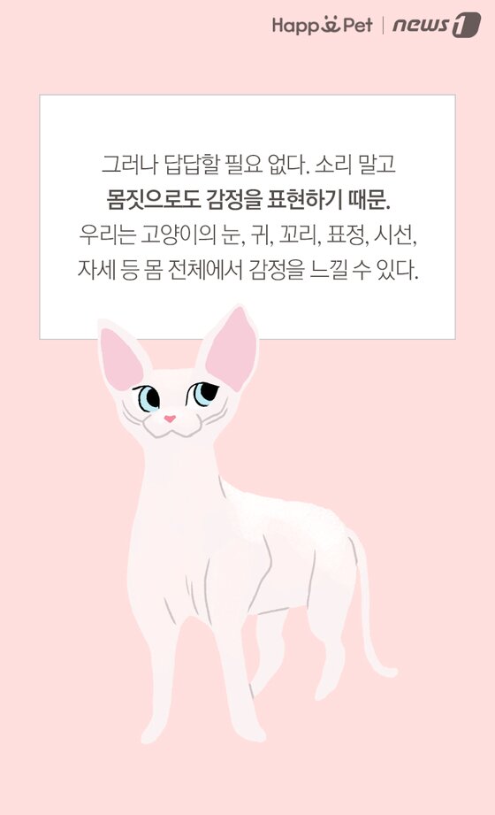 본문 이미지 -  