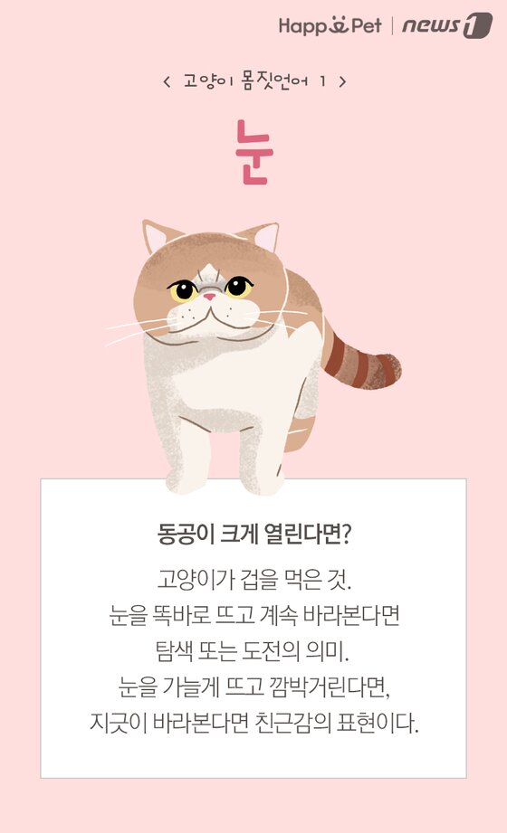 본문 이미지 -  