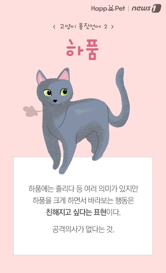 본문 이미지 -  