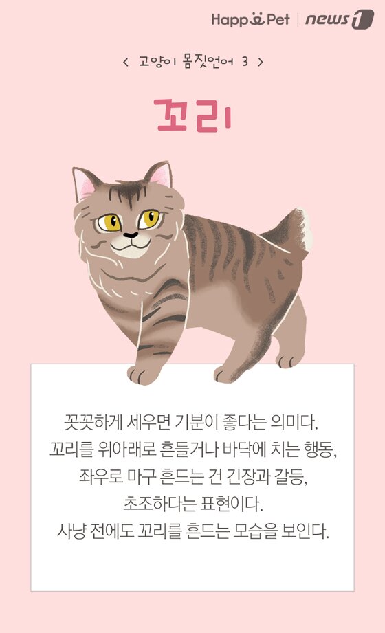 본문 이미지 -  