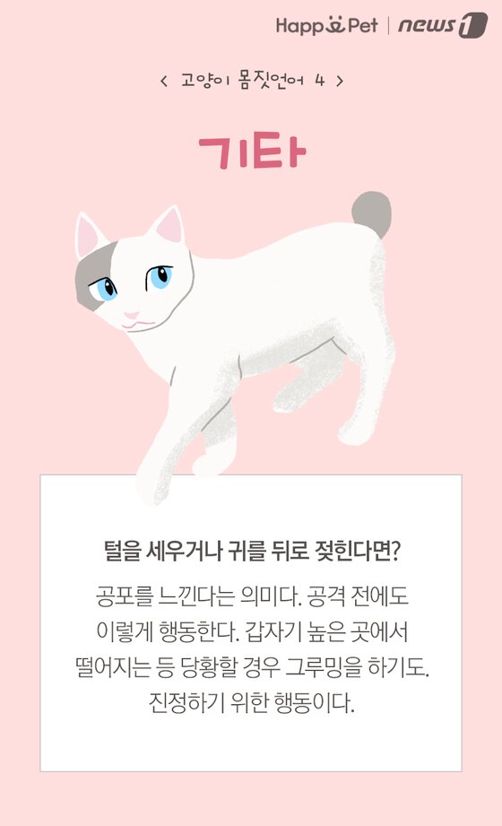 본문 이미지 -  