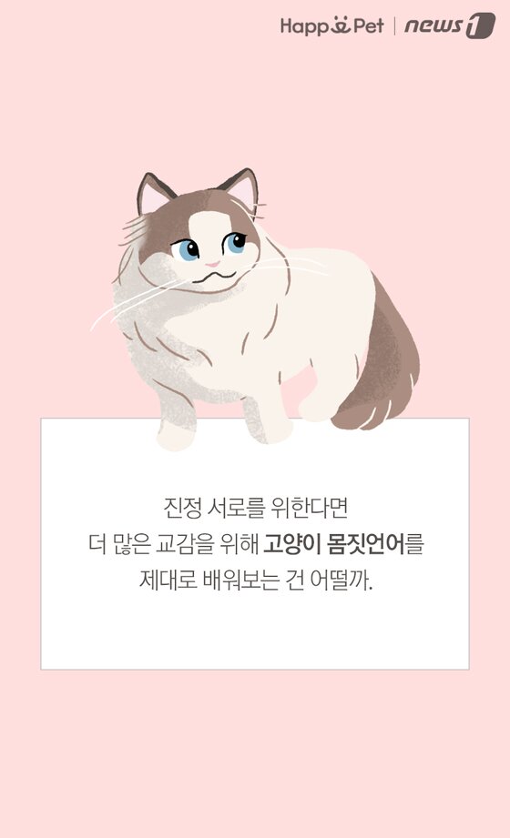 본문 이미지 -  