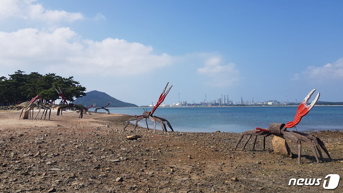 본문 이미지 - 뭍으로 올라오는 황발이 조각상 모습ⓒ News1