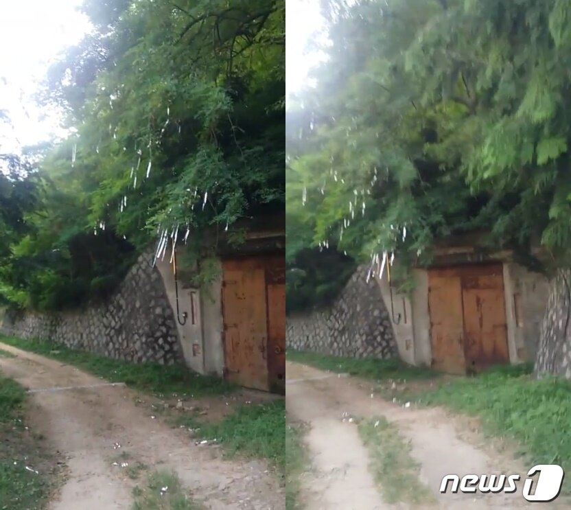 본문 이미지 - ⓒ News1 독자 제보