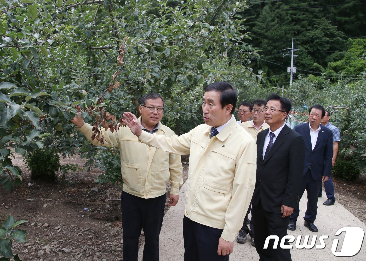 본문 이미지 - 화상병이 걸린 과수농가를 방문한 조길형 충주시장.(왼쪽에서 두번째) ⓒ News1