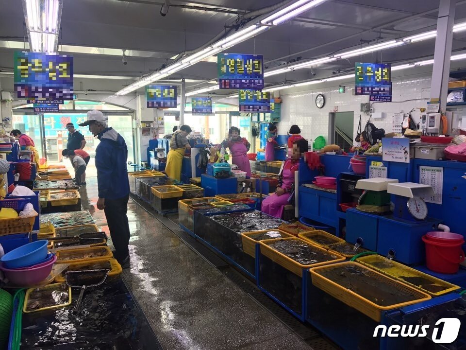 본문 이미지 - 7일 오후 찾은 민락회센터에서 한 시민이 횟감을 고르기 위해 고민을 하고 있다ⓒ News1박세진 기자