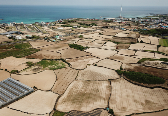전국 강수량 양호…제주엔 가뭄 '관심' 단계 발령