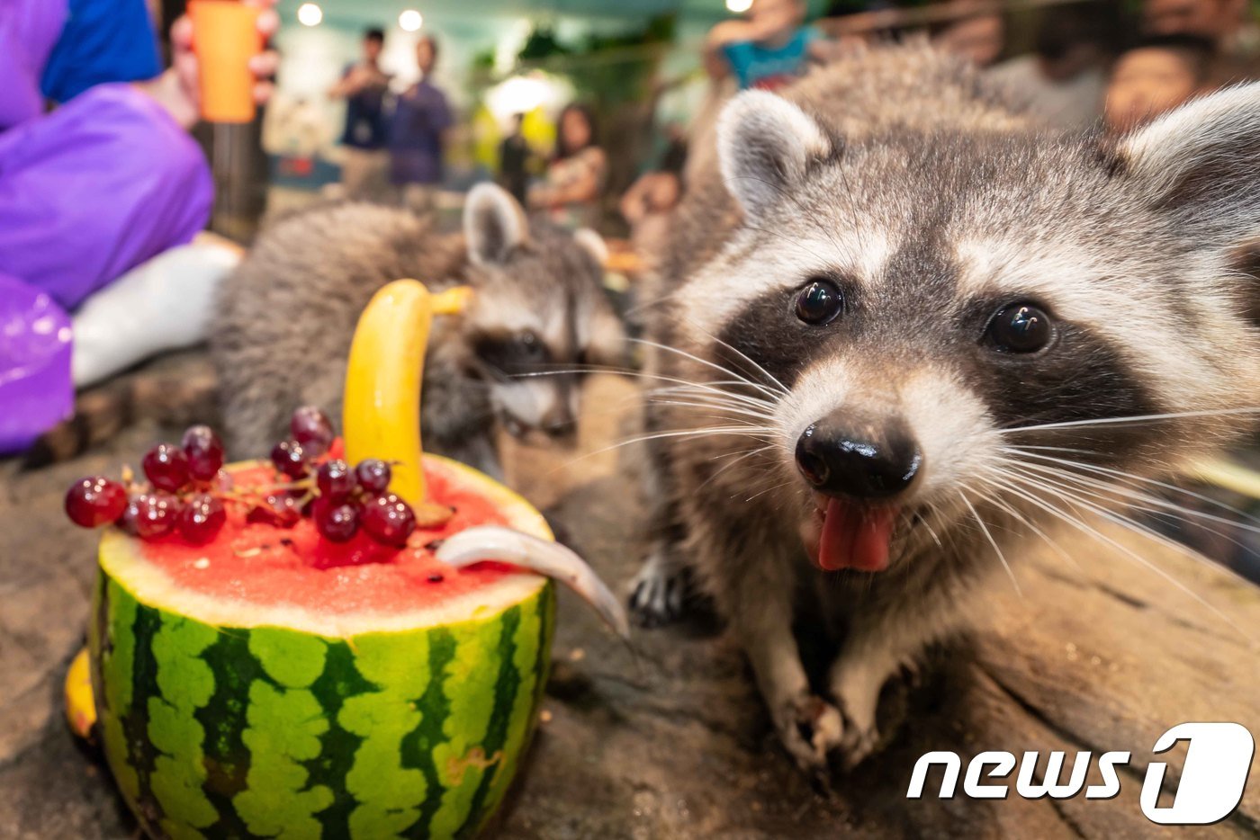 본문 이미지 - (사진은 기사와 무관) 2018.8.16/뉴스1