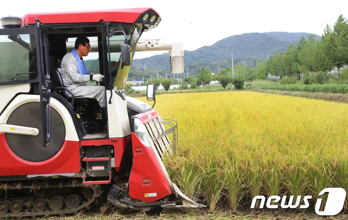 (칠곡=뉴스1) 정우용 기자 = 17일 경북 칠곡군 기산면 영리 논에서 이재호 칠곡군의장이 콤바인으로 올해 첫 벼를 수확하고 있다. 이날 수확한 벼는 쌀전업농 김종기(69)씨가 지 …