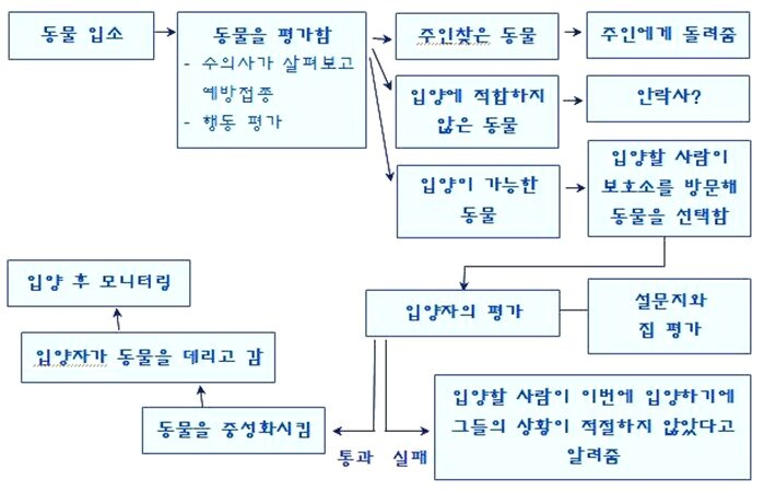 본문 이미지 - 영국 RSPCA 입양과정. 표 버동수 제공. ⓒ News1