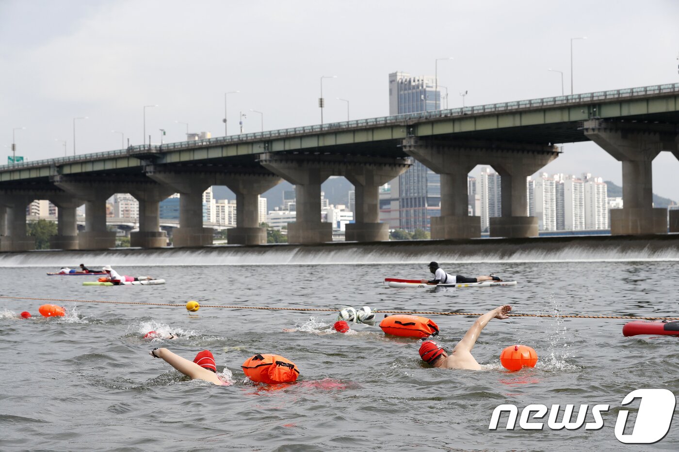 본문 이미지 - 대교를 배경으로 한강 크로스 스위밍 챌린지&#39; 참가자들이 수영을 즐기고 있다. ⓒ News1 DB