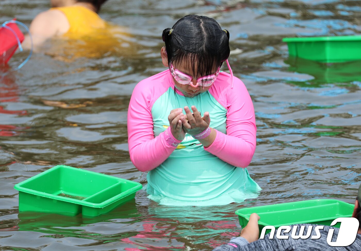 본문 이미지 - 강원 철원군에서 열린  다슬기축제에서 어린이 관광객이 다슬기 잡기 체험을 하고 있다.(자료사진)/뉴스1 DB