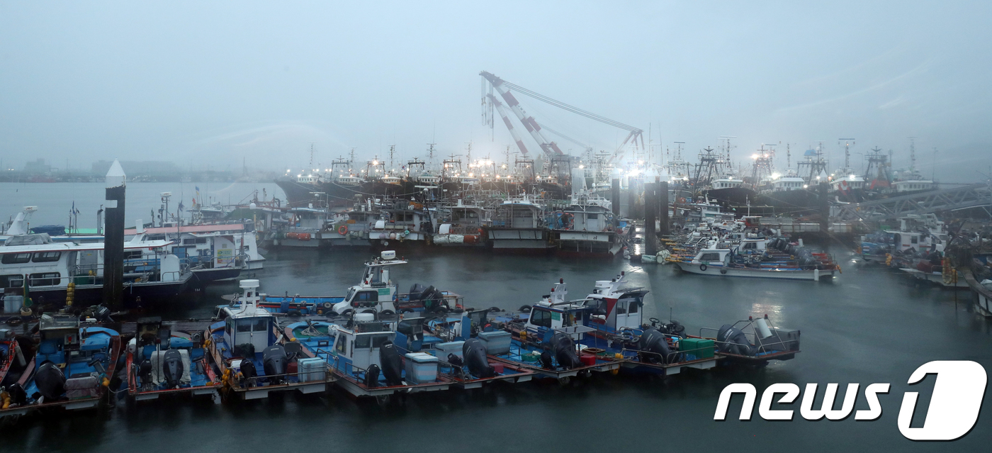 (완도=뉴스1) 남성진 기자 = 제19호 태풍 '솔릭'이 북상중인 23일 오후 전남 목포시 북항에 피항한 어선들이 집어등을 밝히고 있다. 2018.8.23/뉴스1