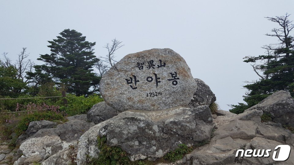 본문 이미지 - 지리산 제2봉인 반야봉. 천왕봉 종주길에서 비켜있어 종주를 여러번 한 등반객도 자칫 지나치기 쉽다. ⓒ News1