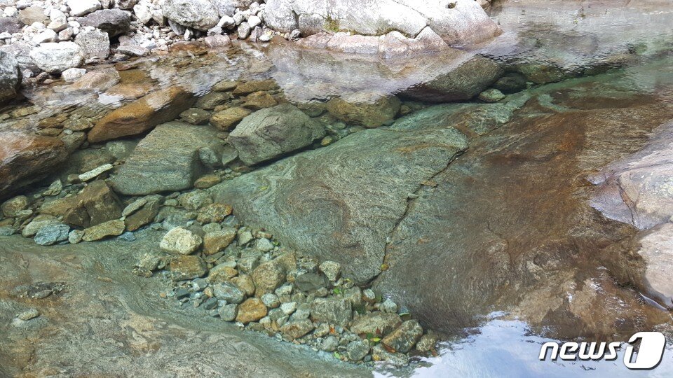 본문 이미지 - 뱀사골 물은 맑고 깊다. 계곡 내내 이런 물들이 흐르고 크고 작은 소(沼)를 만든다ⓒ News1