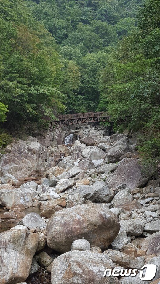 본문 이미지 - 뱀사골은 화개재에서 남원시 반선리 집단시설지구까지 11km가 넘는 웅장한 계곡이다. 등반내내 아름다운 풍광을 보여준다. ⓒ News1