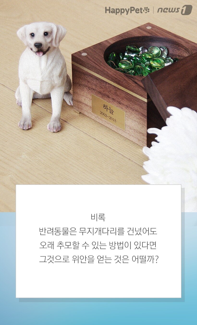 본문 이미지 -  참고 반려동물 장례식장 펫포레스트 외