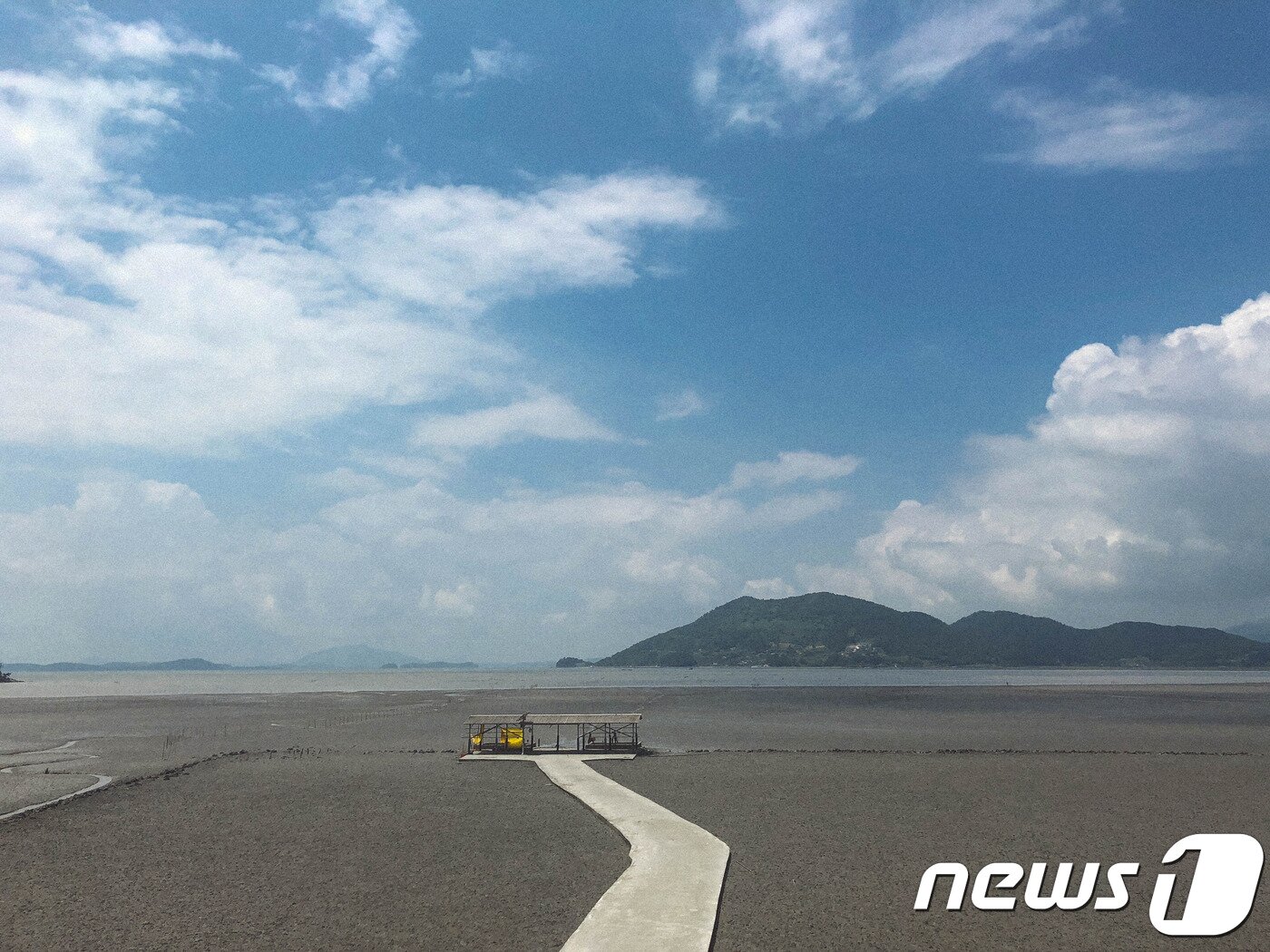 본문 이미지 - 남도삼백리길 01코스 순천만 갈대길 (한국관광공사 제공)/뉴스1 ⓒ News1