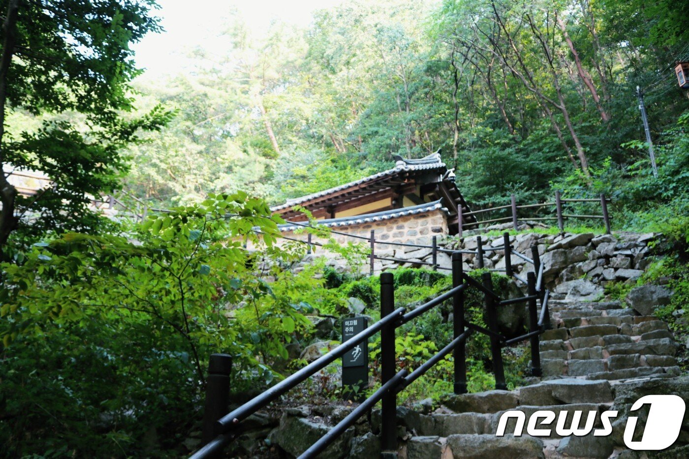 본문 이미지 - 서산아라메길 01코스 녹색길(한국관광공사 제공)/뉴스1 ⓒ News1
