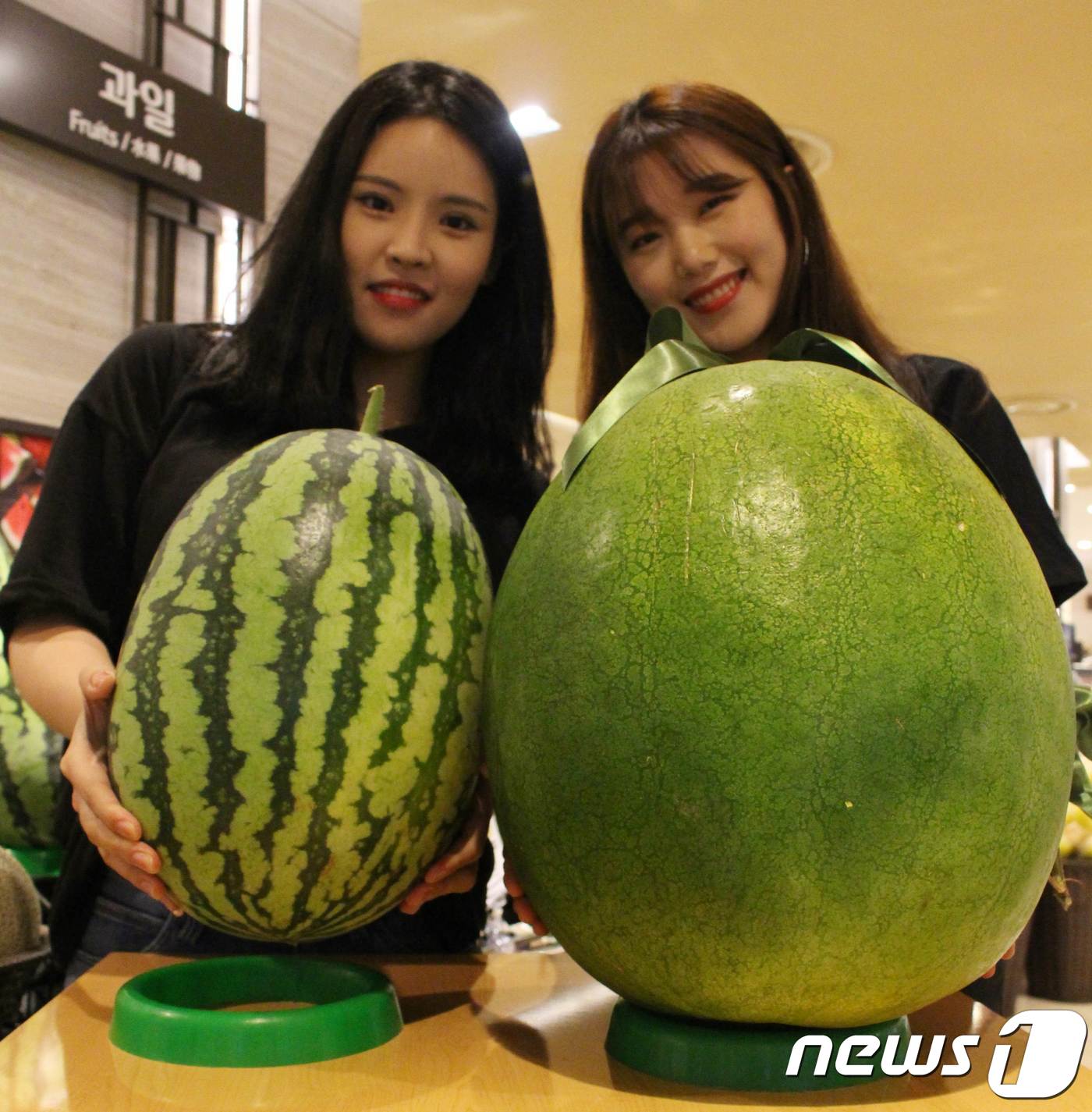 (서울=뉴스1) = 28일 오전 서울 중구 롯데백화점 본점에서 모델들이 광주 특산물인 무등산 수박을 소개하고 있다.롯데백화점이 이날부터 선보이는 무등산 수박의 무게는 19kg으로 …