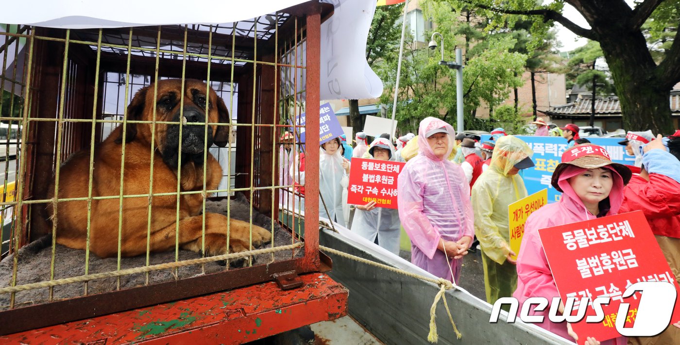 본문 이미지 - 대한육견협회 회원들이 28일 오후 서울 종로구 효자치안센터 앞에서 열린 '대한육견협회 생존권 투쟁 집회'에서 손팻말을 들고 행진하고 있다. 육견업자들이 집회현장에 도사견을 차량에 싣고 왔다. 이날 회원들은 집회를 통해 정부가 지난 10일 발표한 ‘축산법상 개를 가축에서 제외검토’ 철회와 농림축산식품부에서 식용견(농장견,사육견)을 관리할 수 있도록 요구 했다. 2018.8.28/뉴스1 ⓒ News1 황기선 기자