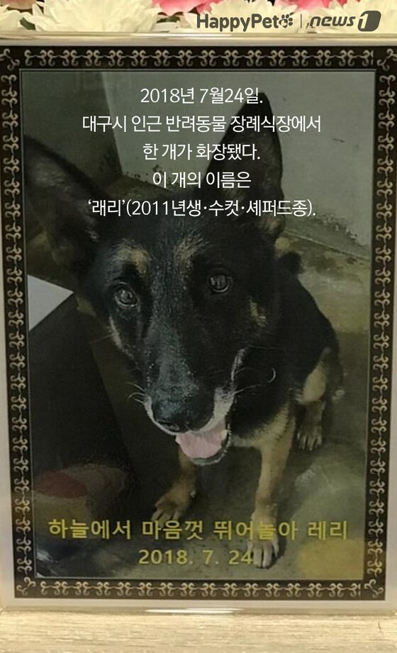 본문 이미지 -  