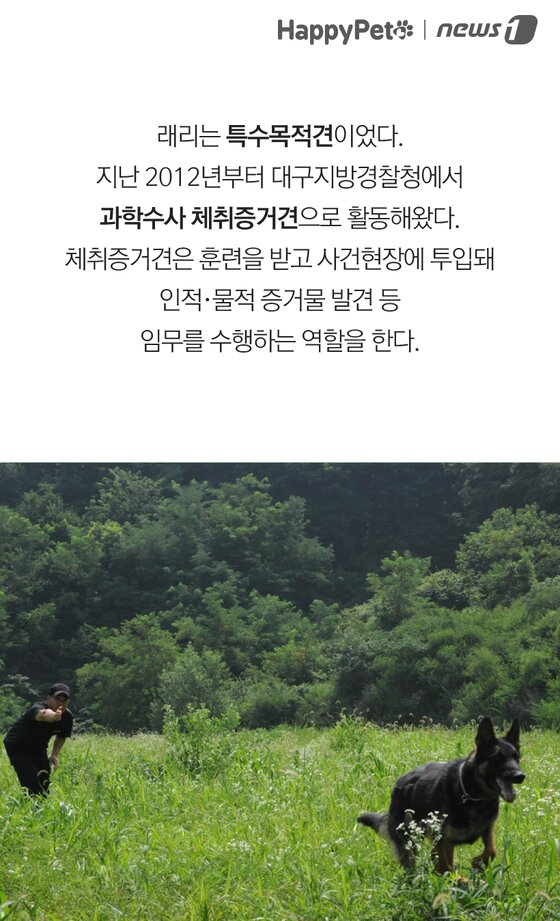 본문 이미지 -  
