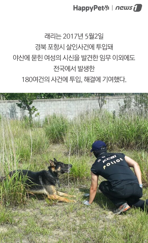 본문 이미지 -  