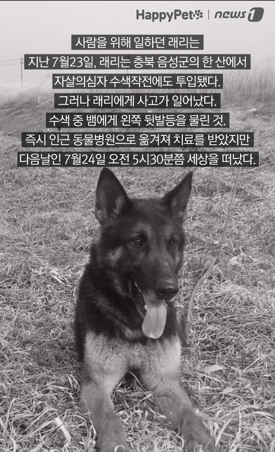본문 이미지 -  