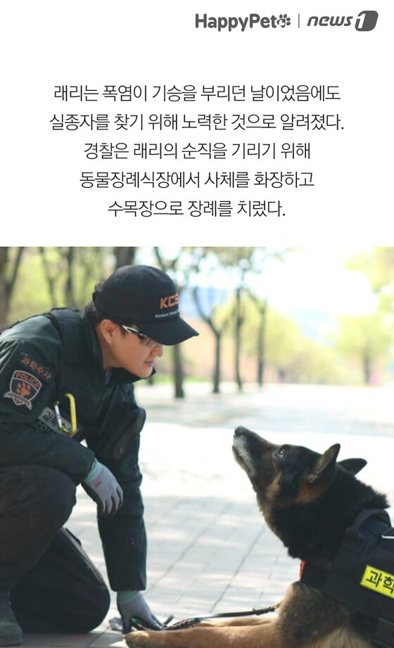 본문 이미지 -  
