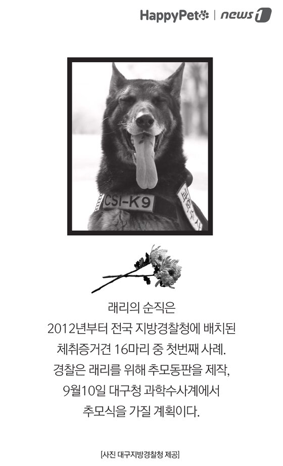 본문 이미지 -  
