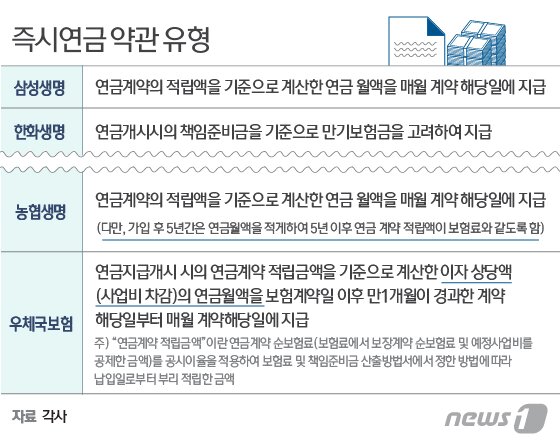 본문 이미지 - ⓒ News1 김일환 디자이너