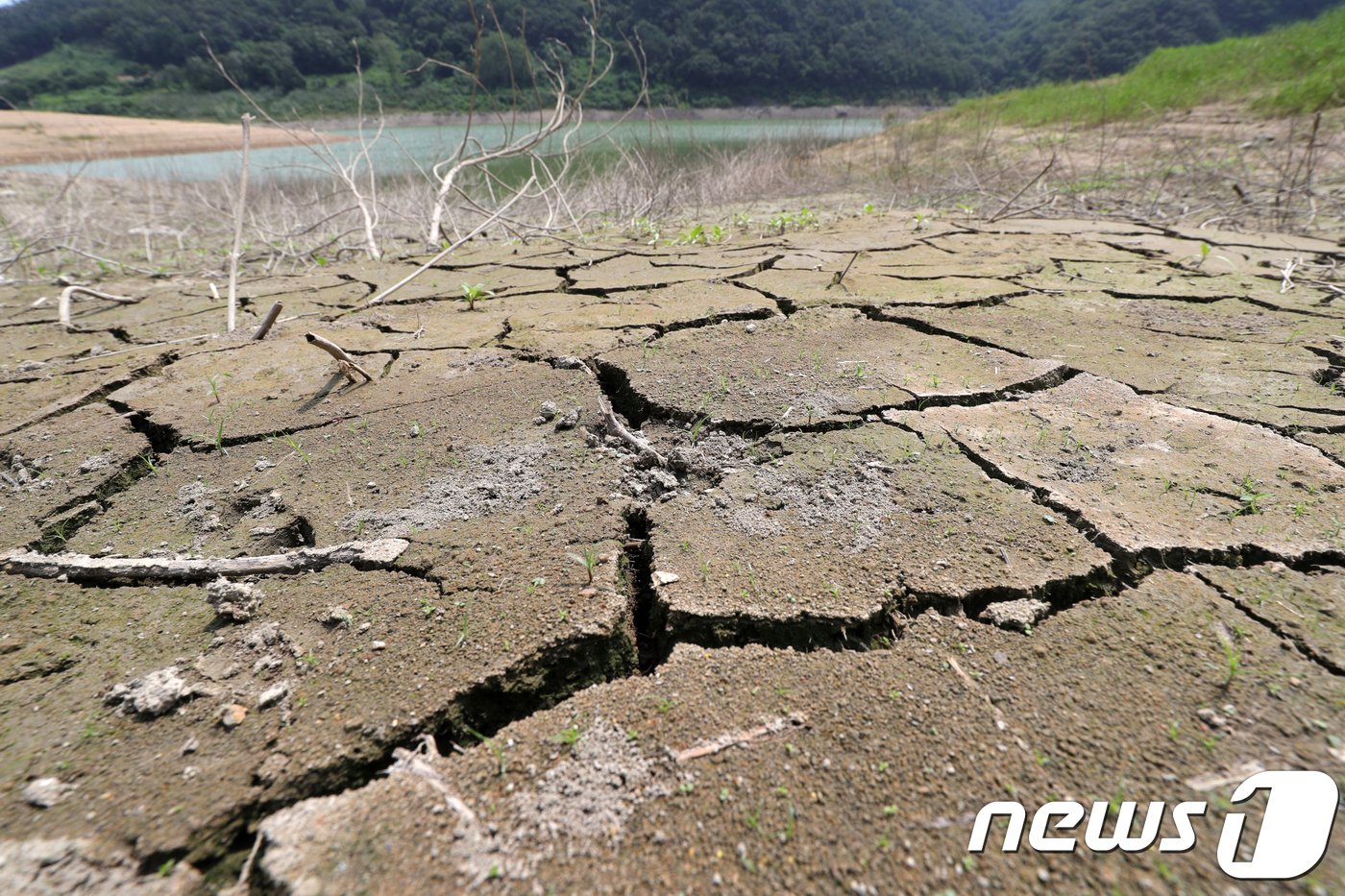 본문 이미지 - 유례없는 폭염과 강우 없는 날이 계속되고 있는 9일 오후 전북 임실군 운암면 옥정호의 물이 말라가며 바닥이 쩍쩍 갈라졌다. 옥정호가 있는 섬진강댐의 저수율은 이날 13시 기준 36.3%로 한달 전인 지난 7월 9일 저수율 56.8%에 비해 20% 이상 낮아졌다.2018.8.9/뉴스1 ⓒ News1 문요한 기자