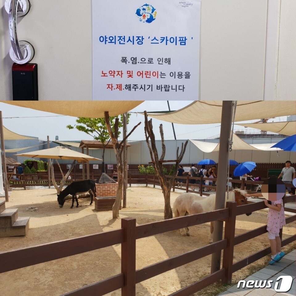 본문 이미지 - 먹이주기 체험이 가능한 옥상의 '더 스카이팜'.셰틀랜드 포니, 당나귀, 염소, 거위, 닭, 양, 오리, 토끼가 전시돼 있다.ⓒ News1 김연수 기자