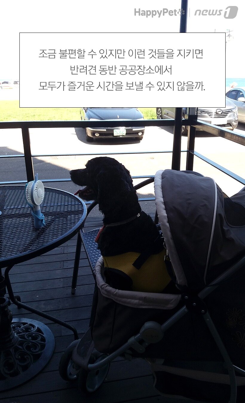 본문 이미지 - 참고 스타필드, 펫케어 외. 