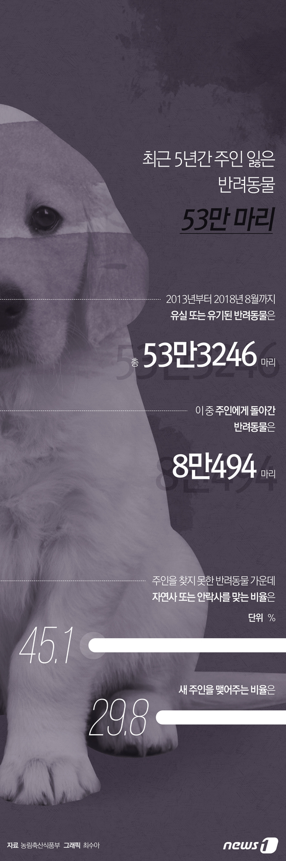 [그래픽뉴스] 최근 5년간 주인 잃은 반려동물 53만 마리