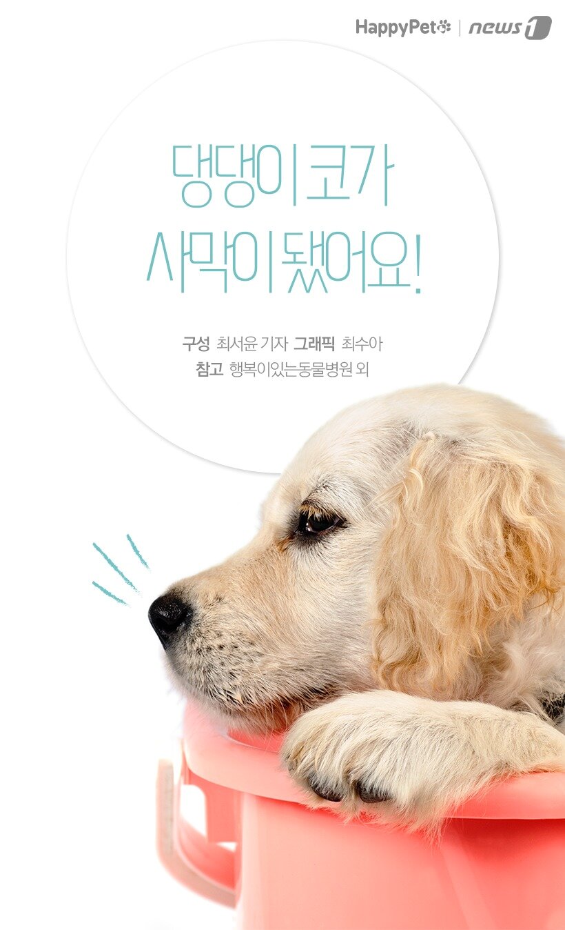 본문 이미지 -  