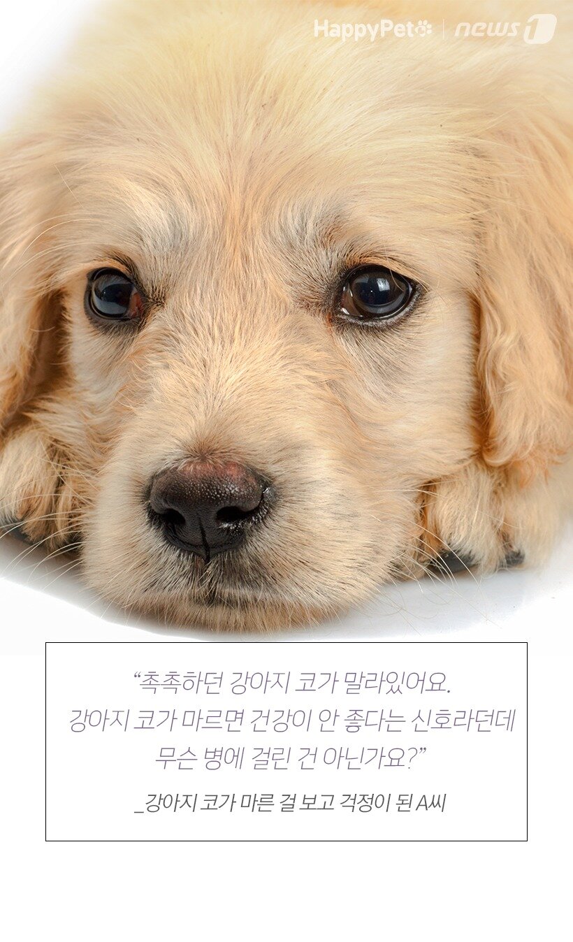 본문 이미지 -  