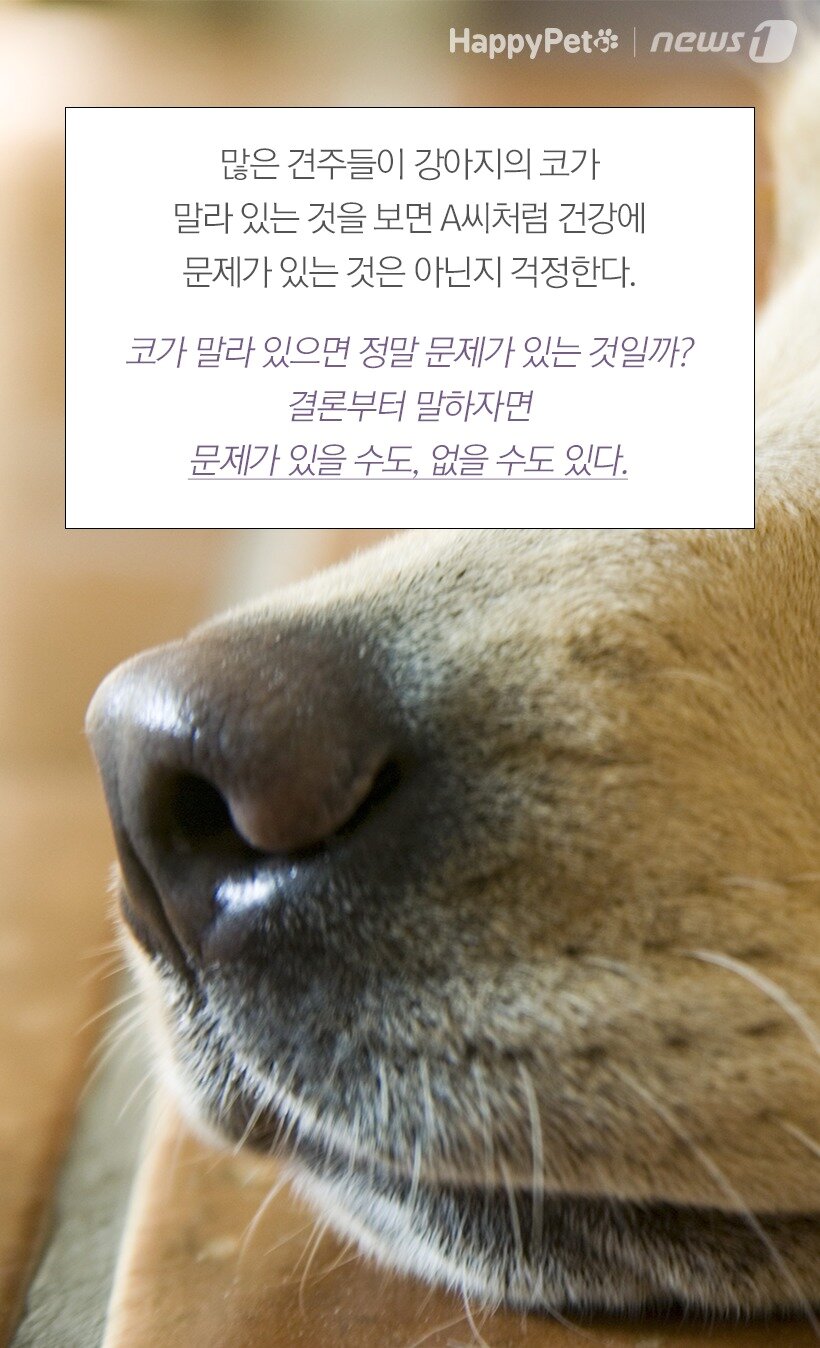 본문 이미지 -  