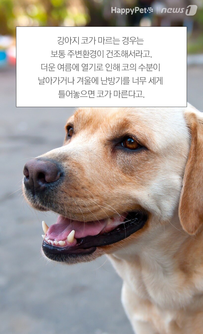본문 이미지 -  